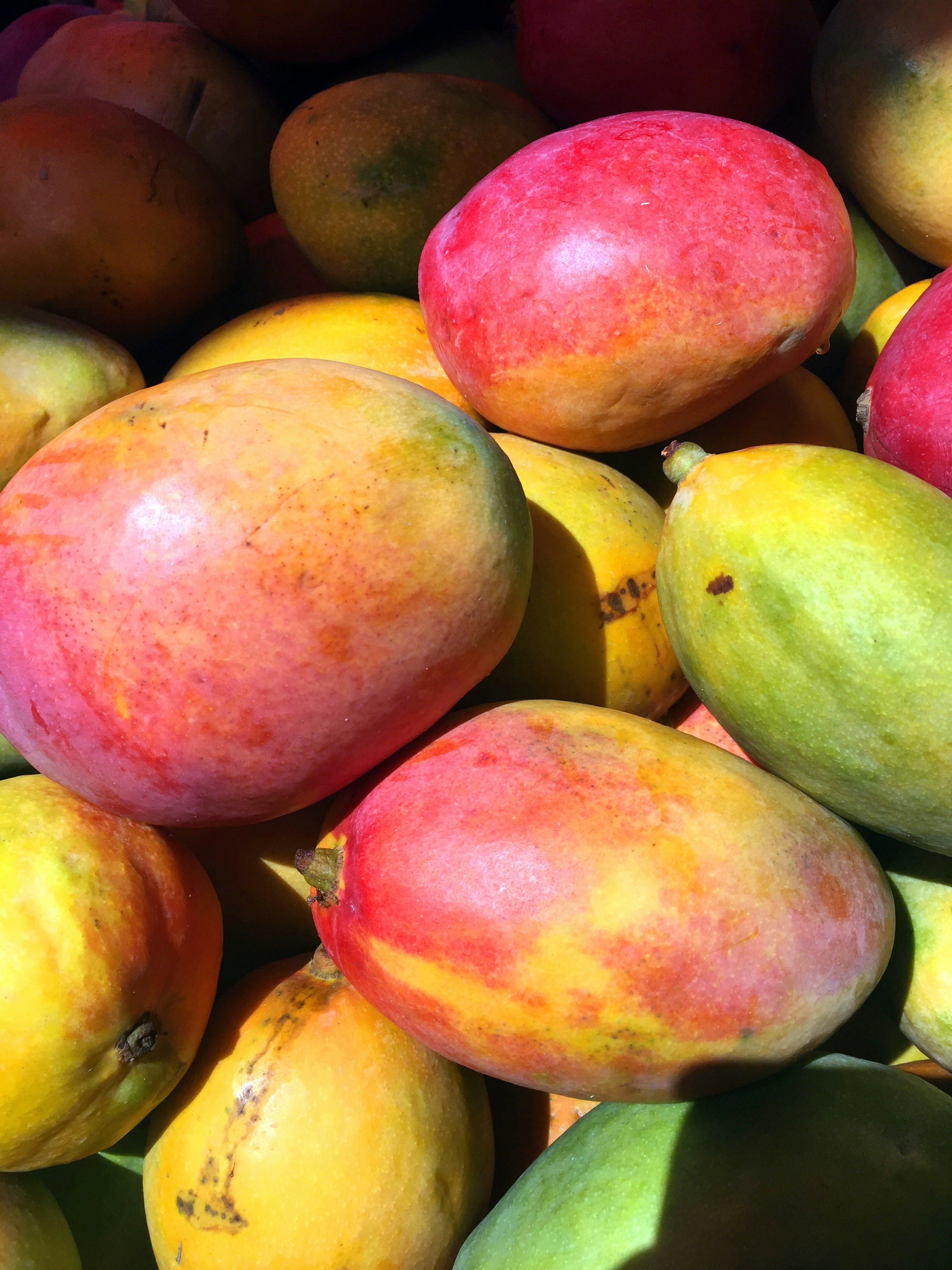 red and yellow round fruits